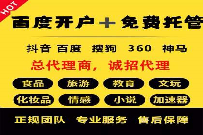 百度平台推广：成功案例解析与效果分析